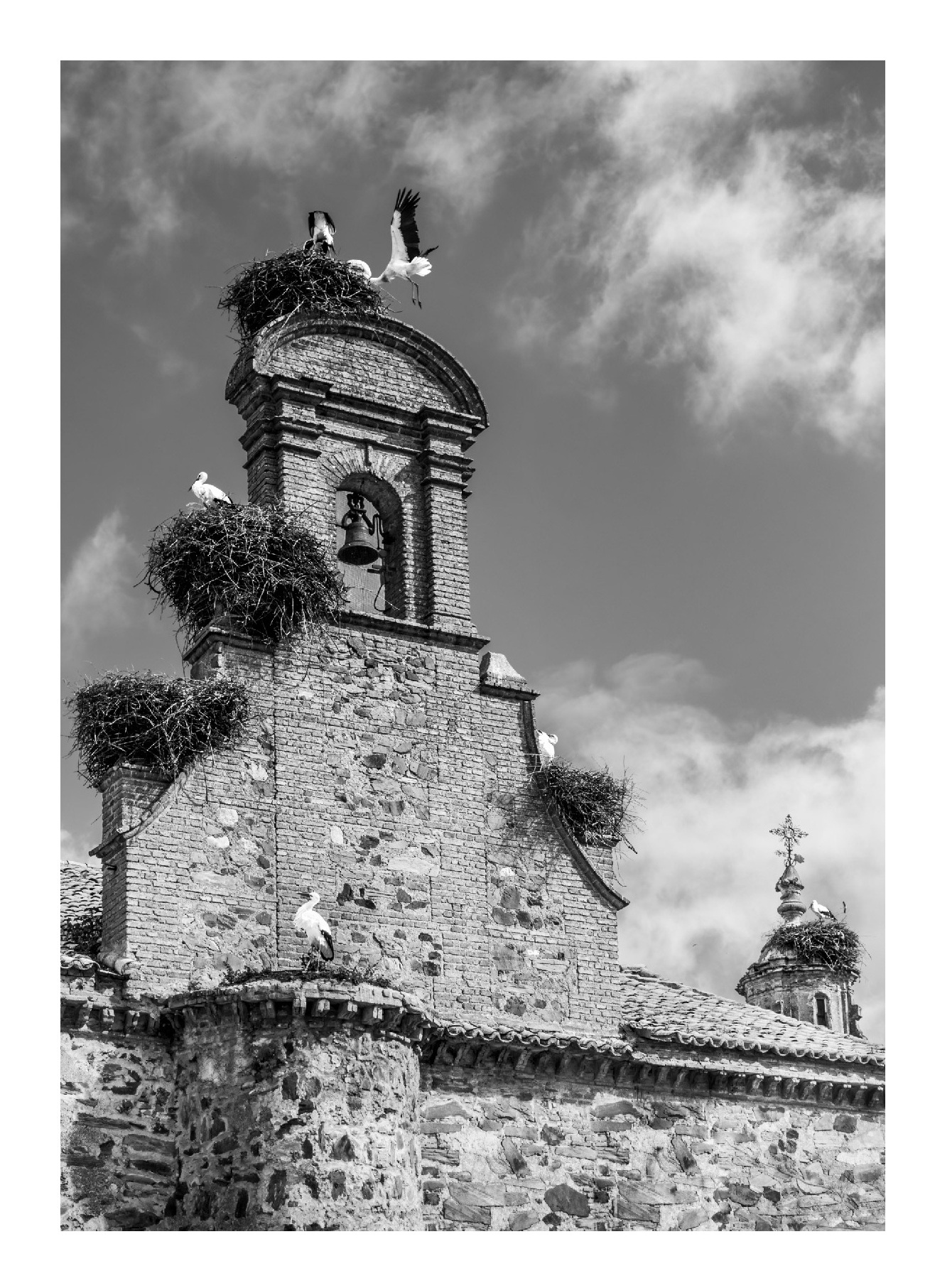 Tirage photographique d’art "Les cigognes espagnoles" – Estrémadure, Espagne, imprimé sur papier Canson Rag photographique.