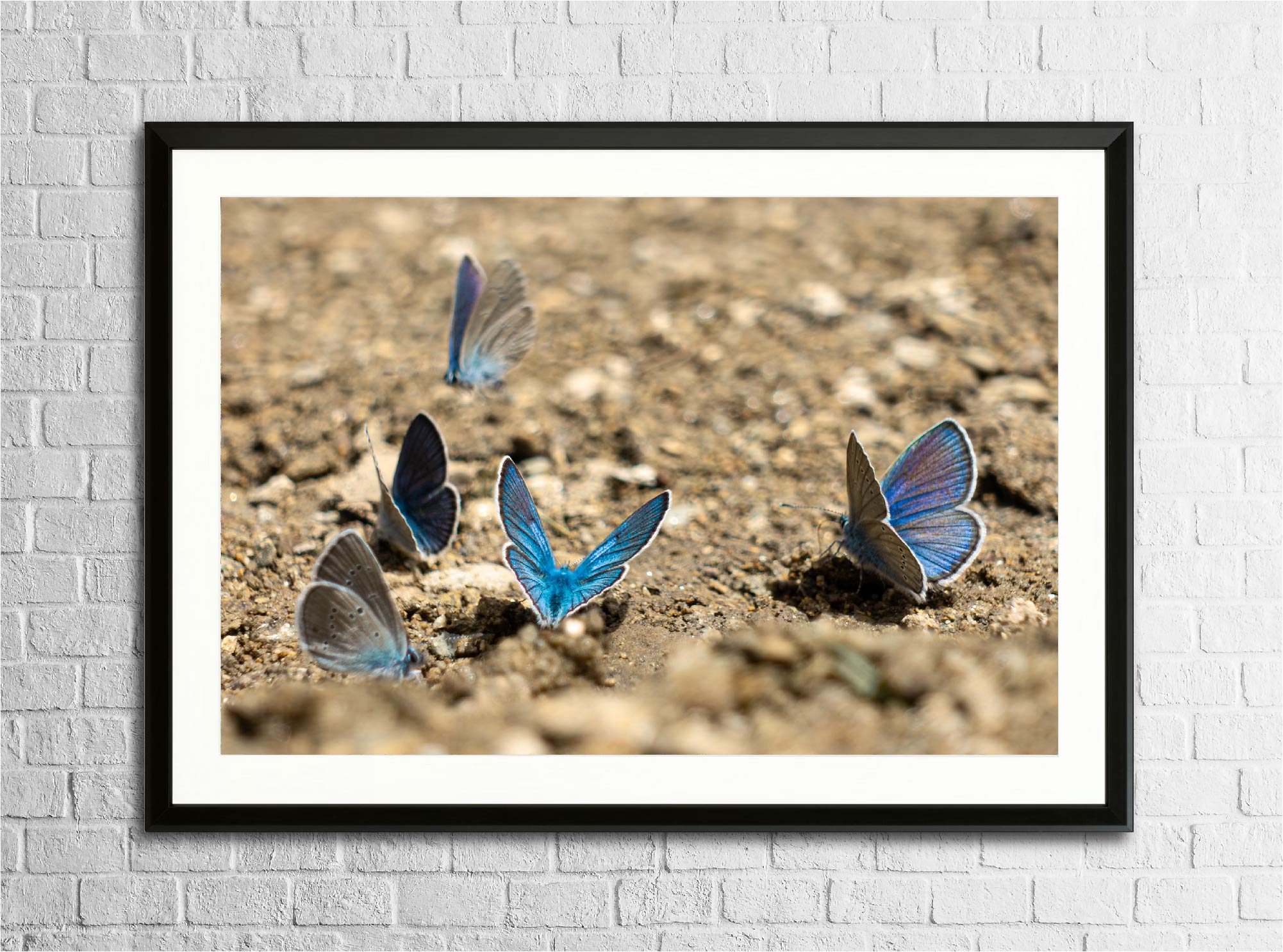 Mise en situation du tirage “Bleu Azur” encadré sur un mur, photographie d’art imprimée sur papier Fine Art.