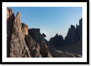 Photographie d’un tirage d’art représentant un chocard à bec jaune dans les Dolomites, illustration de la boutique en ligne.