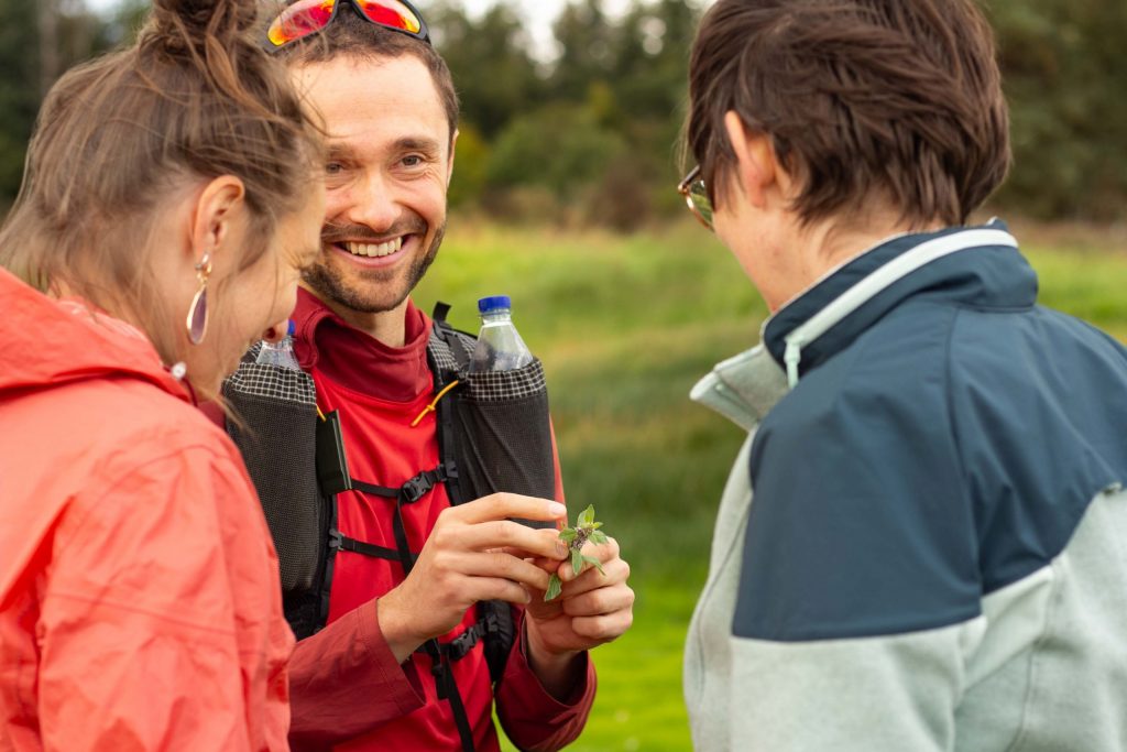 randonnée trek vosges