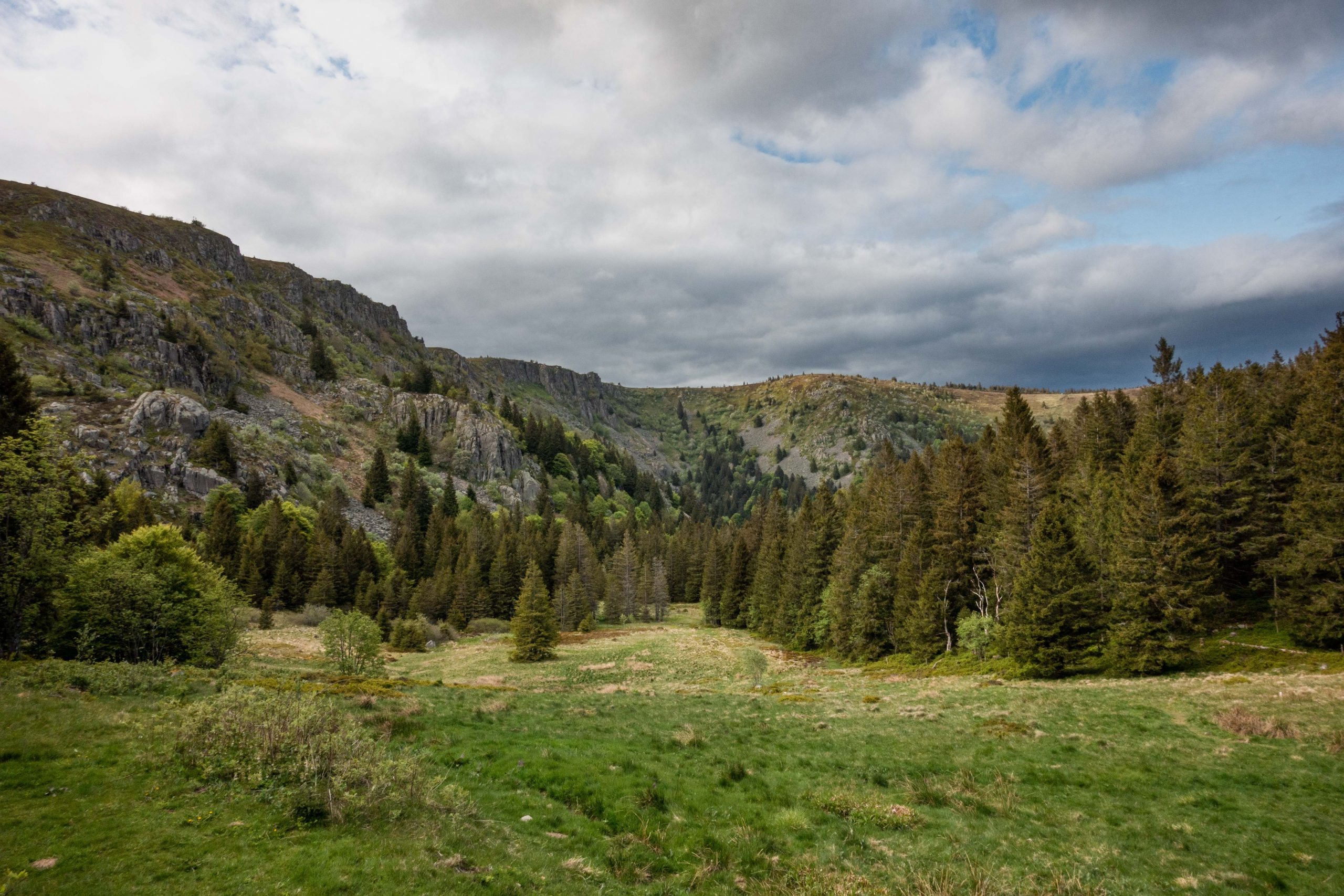 La tourbière d'Altenwasen