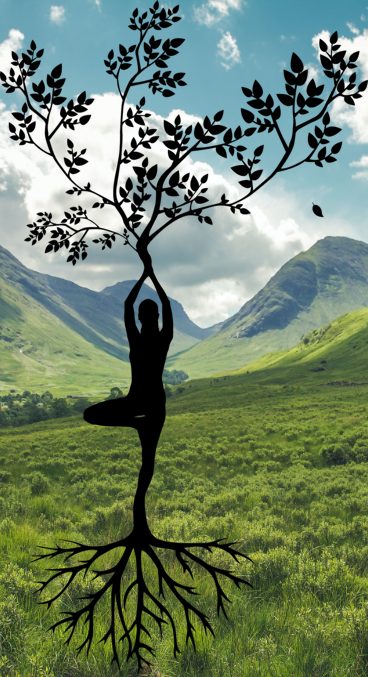 séjour rando yoga vosges
