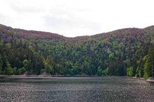 Lac d'Altenweiher