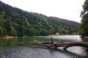 lac d'Altenweiher