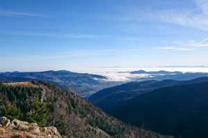 Point de vue Hohneck